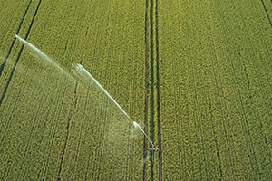 settori_agricultural.webp